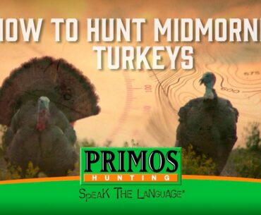 How to Hunt MidMorning Turkeys