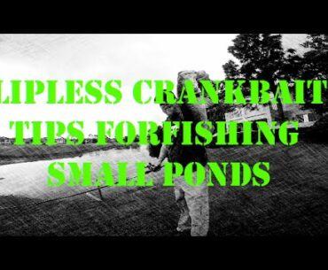 Lipless Crank Bait tips for fishing small ponds