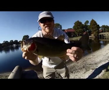 Umbrella / Alabama Rig Bass fishing in the Fall.