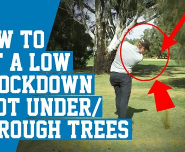 How To Hit a Low Knockdown Shot Under or Through Trees