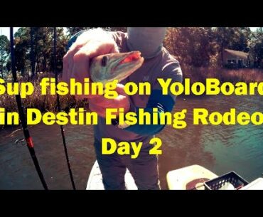 Destin florida fishing rodeo attempt 2 on the Yolo Board paddle board   Barracuda VLOG#4