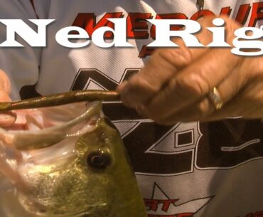 How to Catch Bass with The Ned Rig