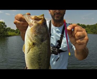 BASS FISHING (NON-STOP DROP SHOT!!!) DINKS to DONKEYS