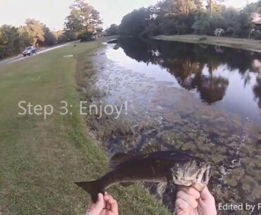 "Cheap Fishing" - Suburban Largemouth Bass (How-To Guide)