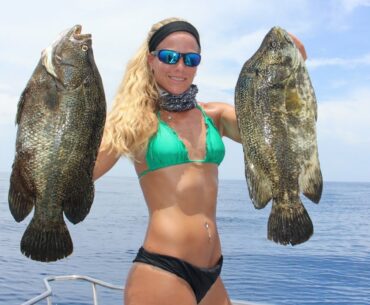 Florida Offshore Fishing for Mahi & Big Tripletails Video