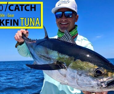 How to Catch blackfin Tuna | Best Bait To Use | Fishing for blackfin Tuna Anna Maria Isalnd Florida