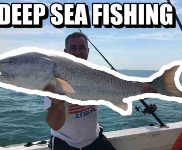 Deep Sea Fishing for BIG Red Fish