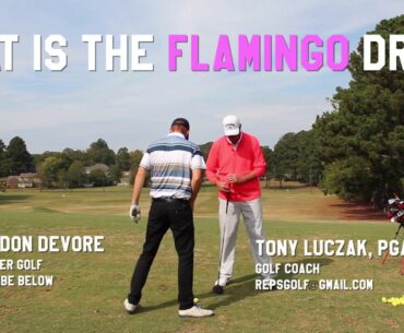 Flamingo Drill Might Change Your Golf Life