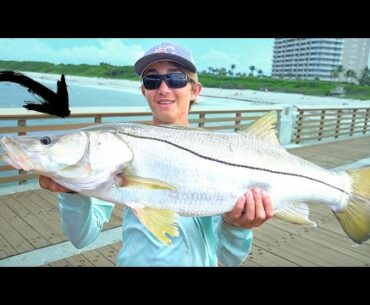 Pier Fishing for BIG SNOOK