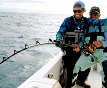 The Shark VS Goliath Grouper