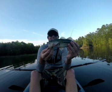 Pace FL Bass fishing