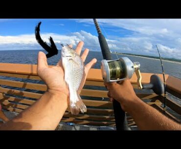 BIG Baits Catch BIG Snook (How to catch pier snook)