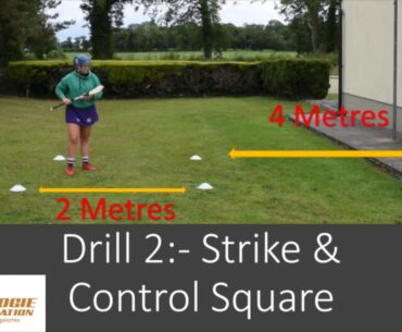 Tesco Skills Session #4 - Controlling & Moving the Sliotar + Striking a Low Ball