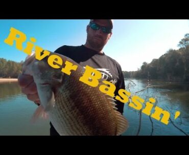 River Bassin and getting boat stuck VLOG#12