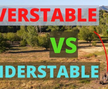 Overstable vs Understable Disc Golf
