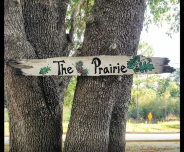 GRAHAM CREEK NATURE PRESERVE - PRAIRIE DISC GOLF COURSE TOUR - RED TEES