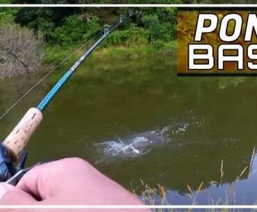 Bass Fishing at a New Pond with Topwater - Fishing a New Spot!