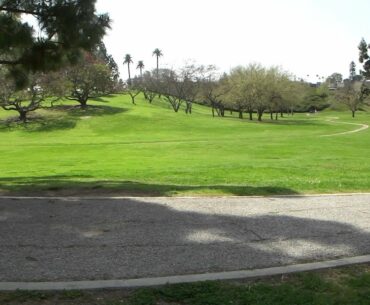 Hole 6 at La Mirada disc golf course (back side)