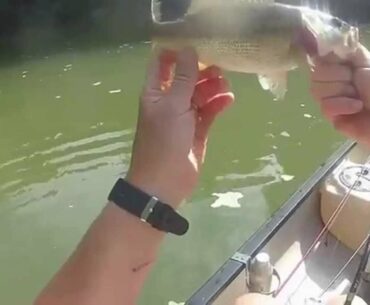 Canoe Fishing on the Upper Cahaba River in Alabama