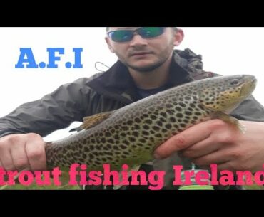 #flyfishing #fishing #trout #salmon A.F.I Brown trout river fishing ireland