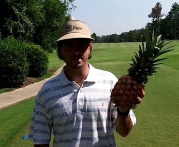 The Old Wooden Stick vs. The Pineapple: Bubba Watson's Biggest Fan (CBailey)