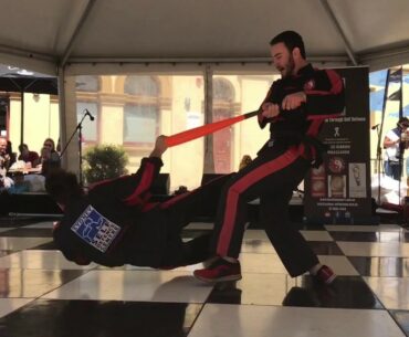 Sydney Self Defence Centre Demo Team at Marrickville Festival 2016