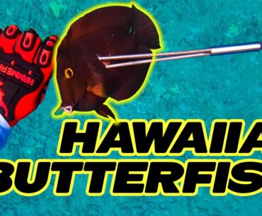 Spearfishing Hawaii Catch and Cook - Hawaiian Sling Spearfishing - Fishing In Hawaii - Kole Diving