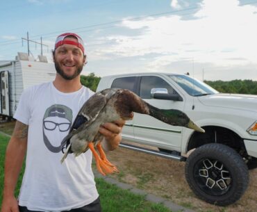 I Bought My Dream Truck and a Pet Mallard!!