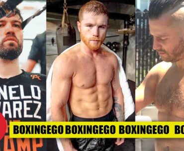CANELO ALVAREZ RUMORED NEXT OPPONENTS STINK FOR MATCHUPS!