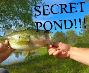 I FOUND A HIDDEN HONEY HOLE POND - Wisconsin Bass Fishing 2020