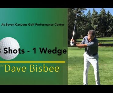 Dave Bisbee - 3 Shots 1 Wedge @ Seven Canyons Golf Performance Center