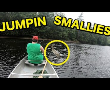 Catching Smallmouth Bass In The Saco River