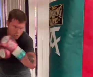 Canelo Landing Bone Crushing Punches on heavybag - esnews