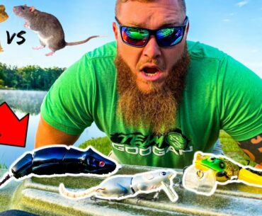 EPIC Topwater Fishing Challenge - BIG Frog vs BIG Rat