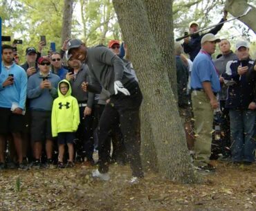 Tiger Woods' brilliant par save from the trees at Valspar