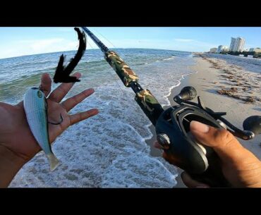 Swimbait Fishing MINNOW BAIT RUN for Snook