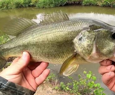 Key Tip To Find Summertime Bass . Bass Fishing Near Moving Water . Lake Elkhorn Columbia Maryland