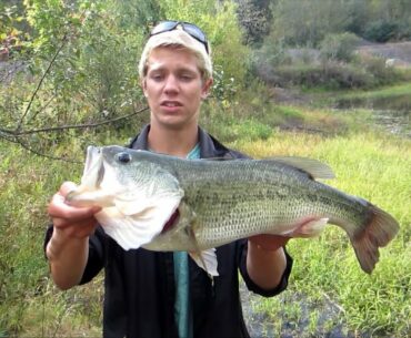 Pond fishing BIG Bass