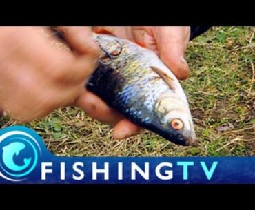 Pike Fishing Tips: Bill Hancock - Fishing TV