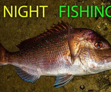 Night Fishing from the rocks for snapper, kahawai & trevally - tips & info