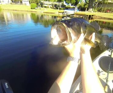 Central Florida-Winter Kayak Bass Fishing On Spinnerbait