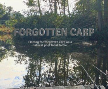 FORGOTTEN CARP