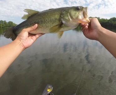 Summer Time Bass Fishing in DEEP Water | Burke Lake