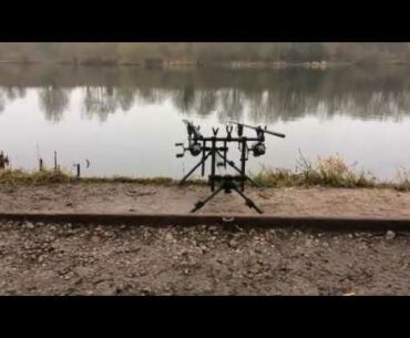 Carp Session on the Mist