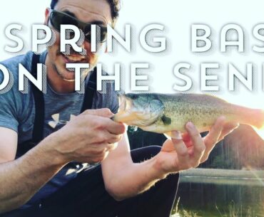 Spring Bass Fishing the Senko Worm