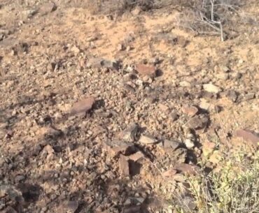 Golf balls well off course, Phoenix, Arizona Hike