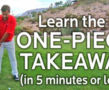 LEARN THE ONE-PIECE TAKEAWAY (in 5 mins. or less)