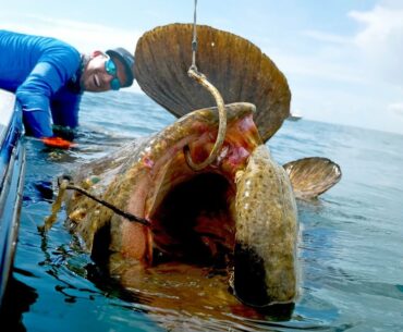 Caught a Monster Grouper that Weighed MORE than the BOAT