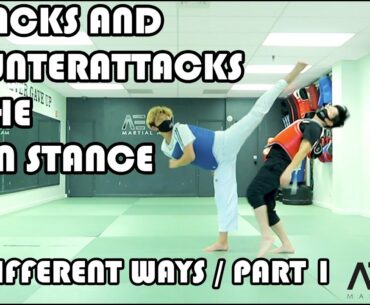 ATTACKS AND COUNTER ATTACKS IN THE OPEN STANCE PART 1