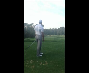 Tiger Woods 4 iron